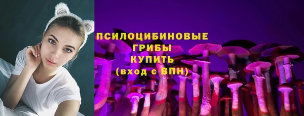 прущая мука Гусиноозёрск