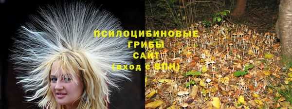кокаин Гусь-Хрустальный