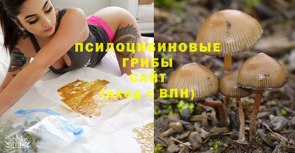 кокаин Гусев